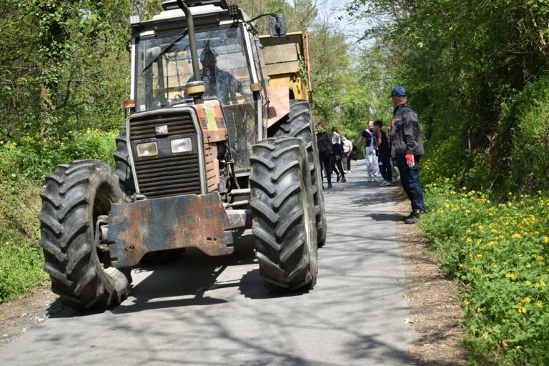Izvor fotografije: Osnovna škola Sveti Petar Orehovec